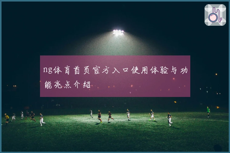 ng体育首页官方入口使用体验与功能亮点介绍