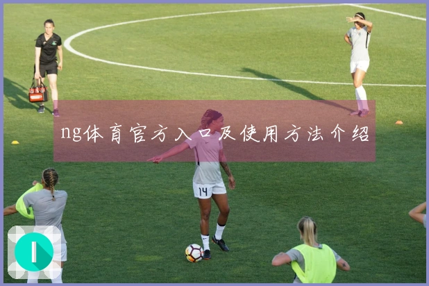 ng体育官方入口及使用方法介绍
