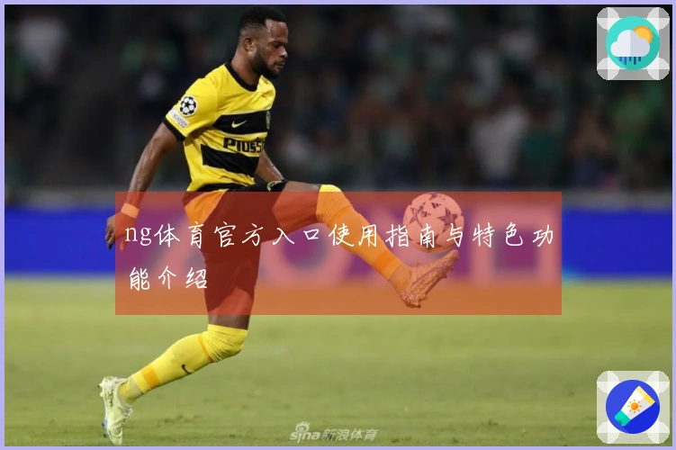 ng体育官方入口使用指南与特色功能介绍