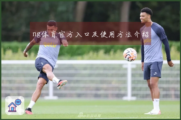 ng体育官方入口及使用方法介绍